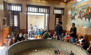 Mở sới gà ngay ở phòng khách, tiền cá độ lên tới 500 triệu đồng