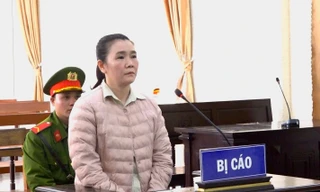 Tự phân lô đất thuê của ngân hàng rồi đem bán, lĩnh 7,5 năm tù