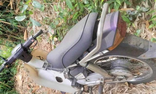 Phát hiện thi thể nam giới trong tư thế treo cổ, đang phân huỷ trong rừng