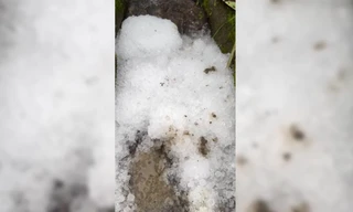 Mưa đá kéo dài hơn 30 phút ở Lâm Đồng