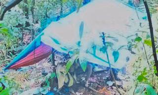 Phát hiện thi thể trong căn chòi giữa rừng sâu Lâm Đồng