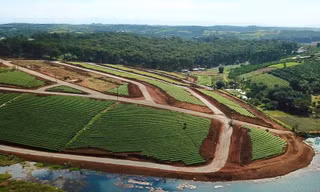 Để nghị gỡ bỏ việc tạm dừng giải quyết giao dịch 14 khu đất phân lô, tách thửa ở TP Bảo Lộc