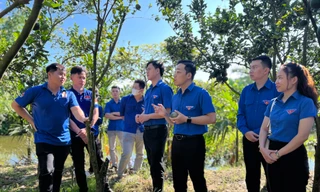 Nhiều mô hình khởi nghiệp của thanh niên Kon Tum thu trái ngọt