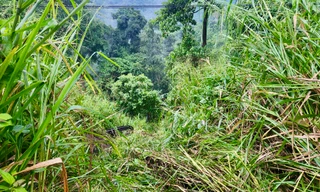 Ô tô rơi xuống vực sâu ở Lâm Đồng, 2 người thương vong