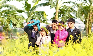 Nhiều nhóm bạn, gồm cả các chàng trai cũng không cưỡng được sức hút diệu kỳ của cánh đồng hoa vàng đầu đông.