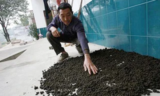 Những kiểu chữa bệnh… “chết người” 