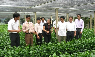 Kỳ tích sức trẻ dưới đỉnh Phu Xai Lai Leng