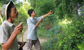 Anh Cường (trái) và anh Thiết đang truy lùng một con rắn lải.