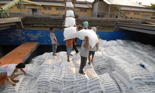 Xuất khẩu gạo hàng đầu thế giới: Việt Nam đang trợ cấp cho nước ngoài