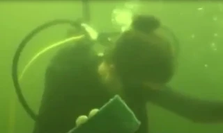 2 giáo sư phá kỷ lục, sống 73 ngày dưới nước