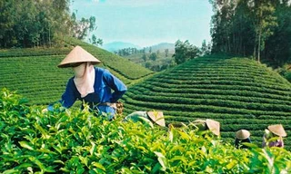 Cần 30 tỷ USD để kinh tế tăng trưởng xanh