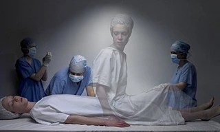 Ảnh minh họa: Drew Gardner.