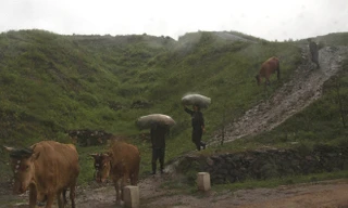 Cuộc sống thôn quê ở Triều Tiên qua góc nhìn của AP