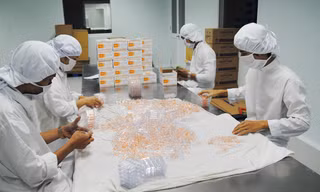 Ma trận thuốc giá rẻ