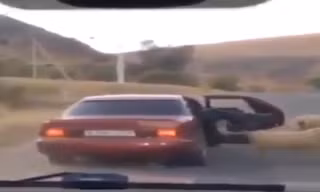 Đi ôtô 'sang chảnh' trộm cừu giữa đường