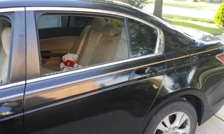 Lam Trường bị đập kính ô tô, cướp giữa ban ngày tại Mỹ