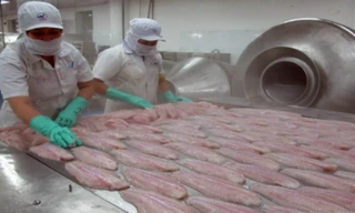 Việt Nam đứng đầu về xuất khẩu cá phile sang Brazil