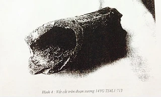 Phát lộ những dấu tích mới của thủy chiến Bạch Đằng