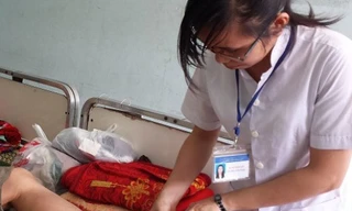 Hai người đầu tiên tỉnh Bình Định bị rắn lục đuôi đỏ cắn