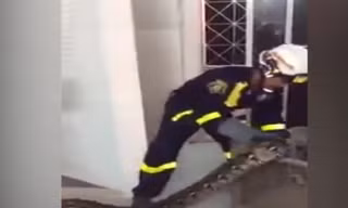 Kinh hãi phát hiện trăn dài gần 5 mét dưới gầm giường