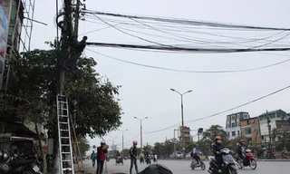 Dọn “rác trời” trên nhiều tuyến phố