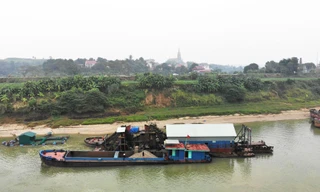 Vụ đua nhau hút cát trên sông Lô: Tạm dừng hoạt động khai thác của một doanh nghiệp 
