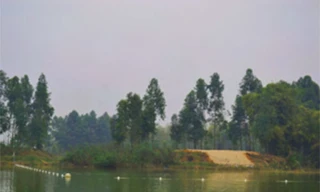 Rùa quý hiếm ở Đồng Mô được phát hiện và bảo vệ thế nào?