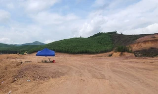 Khách hàng mất 4 tỷ đồng vì 'ôm' hàng chục lô đất đấu giá