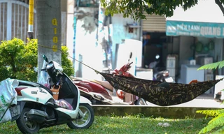 Người dân TPHCM mắc võng ở công viên tránh nóng