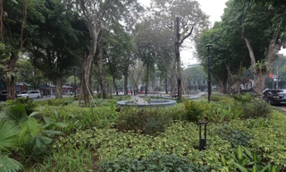 Khoác 'áo mới' cho Vườn hoa Diên Hồng 