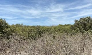 Lần khần giải quyết liên quan 5,4 ha đất ở Bà Rịa- Vũng Tàu