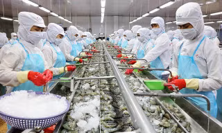 Cần Thơ sắp có dây chuyền chiếu xạ hiện đại thúc đẩy xuất khẩu nông sản 