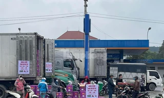 Lạng Sơn mỗi ngày 'giải cứu' hàng trăm tấn trái cây quay đầu