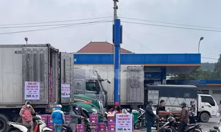 Lạng Sơn mỗi ngày 'giải cứu' hàng trăm tấn trái cây quay đầu