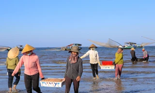 Ngư dân Hà Tĩnh trúng đậm ruốc biển