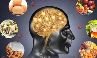 Cải xoăn, cá anchovy, trứng gà - những loại thức ăn nên bổ sung để thông minh hơn