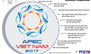 [Infographics] Những hoạt động chính trong Tuần lễ Cấp cao APEC 2017