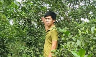 Đồng chí Hoàng Viết Tương - Bí thư chi đoàn thôn Khun Pinh, xã Hoàng VIệt 