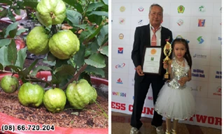 Ông Nguyễn Thành Đại nhận giải thưởng