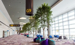 Khách của Vietnam Airlines chính thức được sử dụng nhà ga hiện đại nhất Singapore