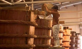 Nam Ngư – nhãn hiệu gia vị hàng đầu được tin chọn bởi hàng triệu gia đình Việt. 