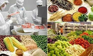  Doanh nghiệp được tự công bố sản phẩm thực phẩm và chịu trách nhiệm trước pháp luật về công bố đó. Ảnh minh họa