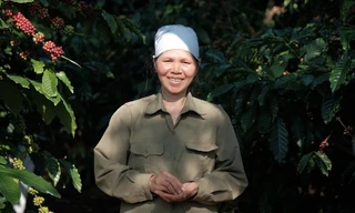 NESCAFÉ Plan: Kinh nghiệm quý giá trong hợp tác phát triển bền vững