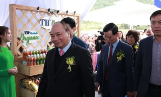 Thủ tướng Chính phủ Nguyễn Xuân Phúc và các đại biểu tham dự Lễ động thổ Dự án chăn nuôi bò sữa và chế biến sữa công nghệ cao Hà Giang của tập đoàn TH tại xã Phong Quang (huyện Vị Xuyên, Hà Giang) chiều 27/11