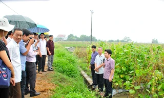 Ứng dụng tiến bộ khoa học kỹ thuật trong sản xuất một số cây trồng vụ đông