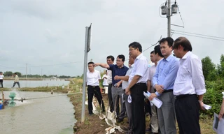 Cần sớm nhân rộng mô hình tiết kiệm điện trong nuôi tôm tại Sóc Trăng