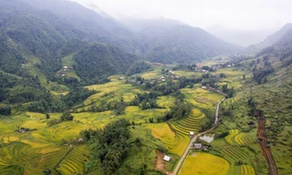 Mùa lúa chín Sapa gọi mời du khách