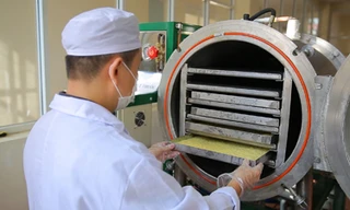 Công nghệ sấy đông khô giúp sữa ong chúa giữa nguyên dưỡng chất và tăng thời gian bảo quản