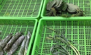 Rau tăng phi mã, đắt ngang thịt cá