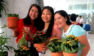 Niềm vui nhận cây xanh được đổi bằng vỏ hộp sữa 